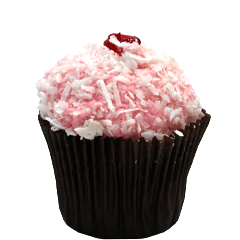 Coconut Raspberry