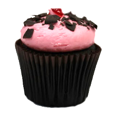 Raspberry Chocolate Truffle
